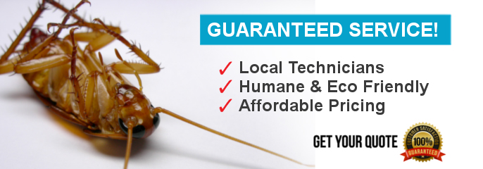 All Track Exterminators business image