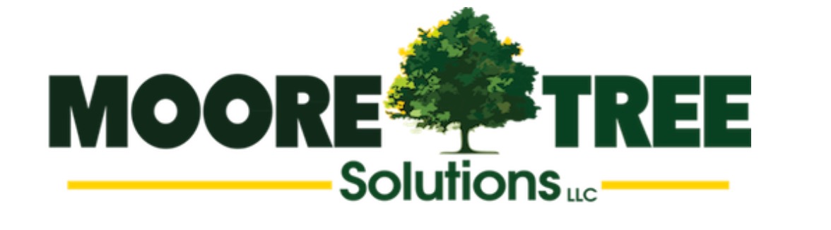 Moore Tree solutions business image