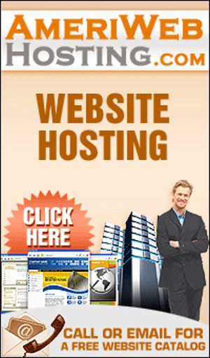 AmeriWeb Hosting business image