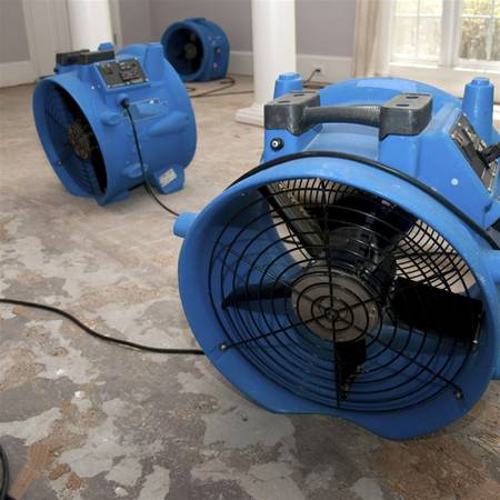 Tarzana Mold Removal and Water Damage business image