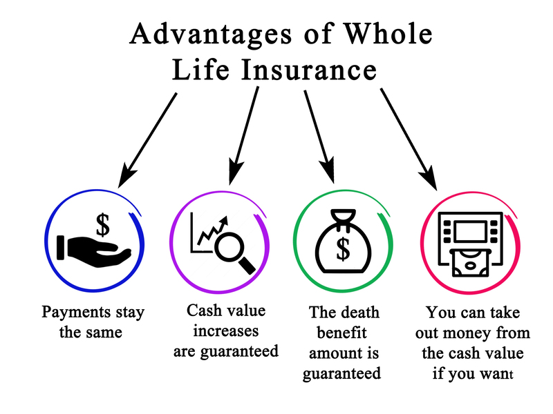 Alpharetta Life Insurance Experts business image