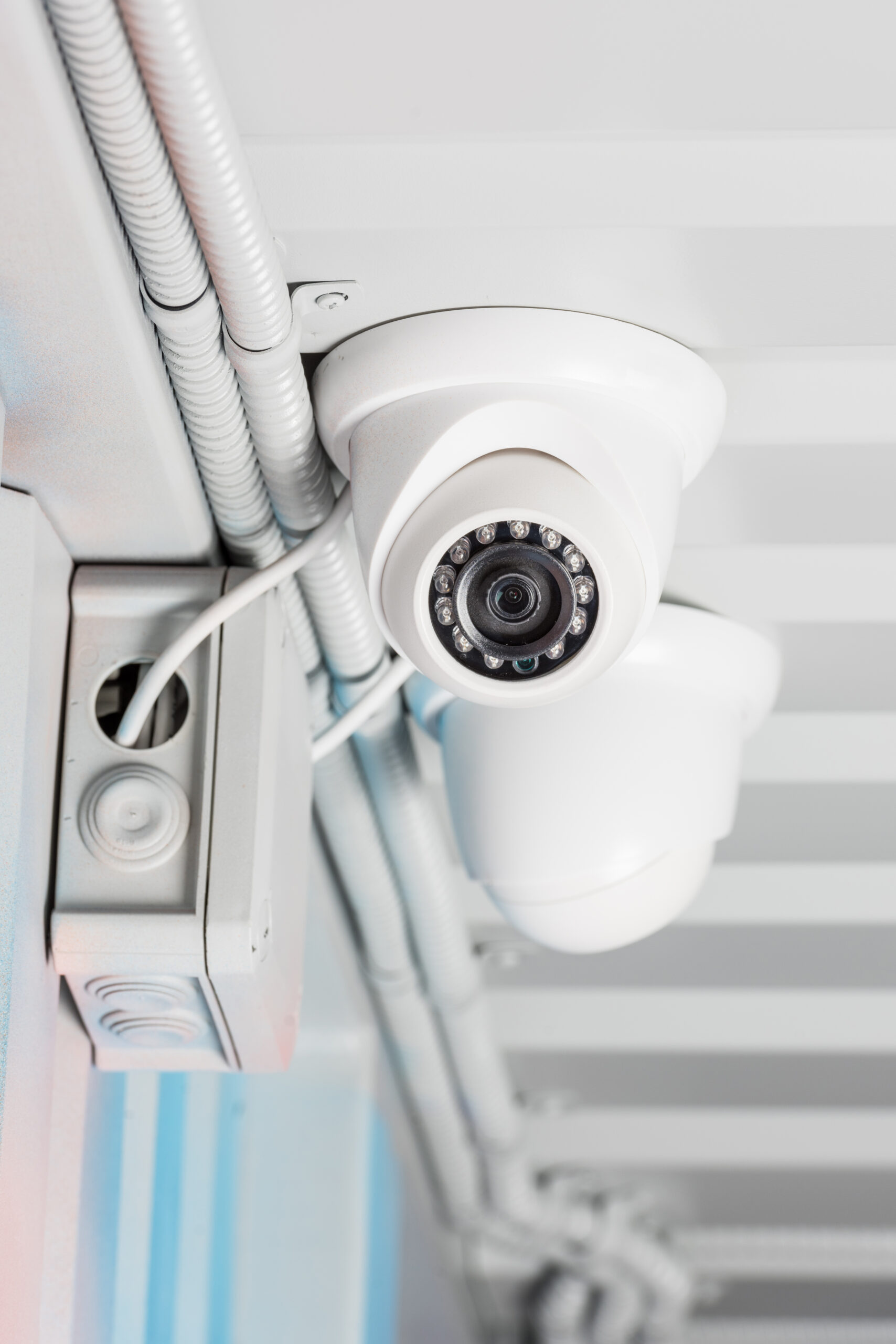 Custom Automation Technologies business image